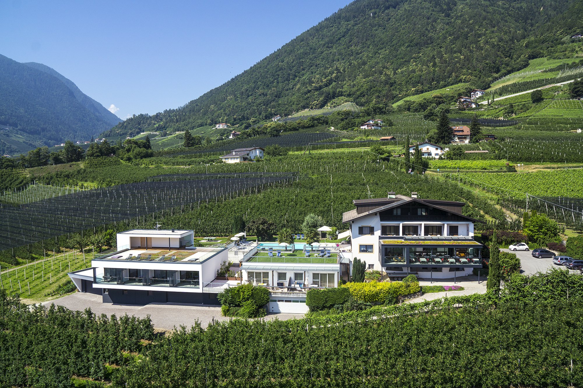 Hotelanlage mit Pool und Liegestühlen vor bewaldeten Bergen und Reihen von Wein- oder Obstplantagen unter blauem Himmel